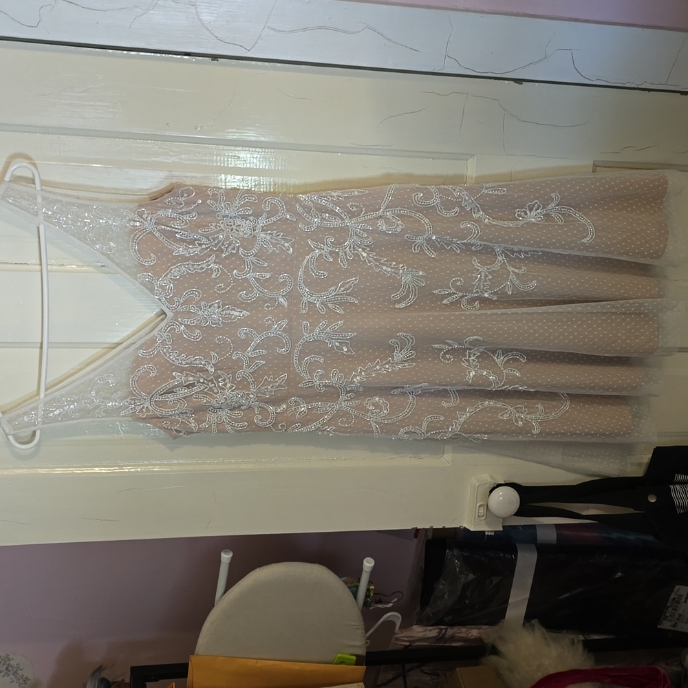 Adrianna Papell Blush Pink Embellished Midi Dress
